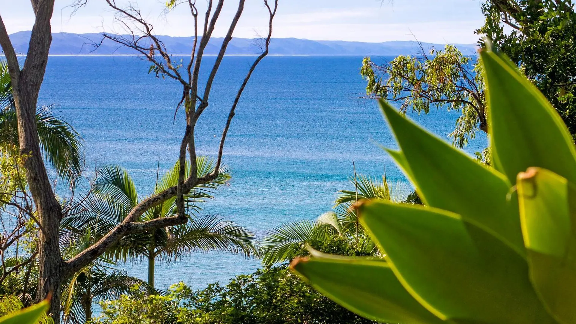 Cove Point 5 Stylish Cove Escape Holiday home Noosa Heads